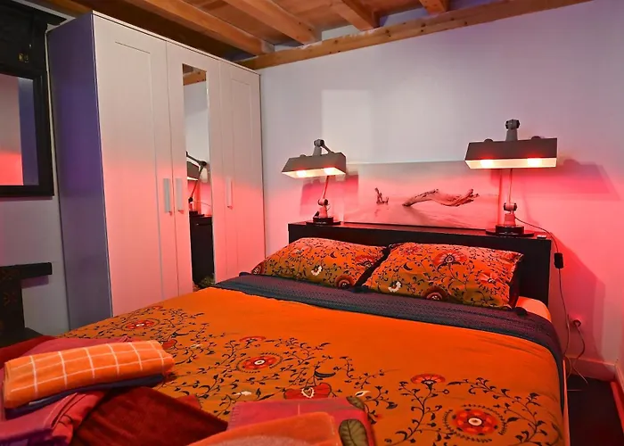 Duplex 6 Clim Wifi Sauna