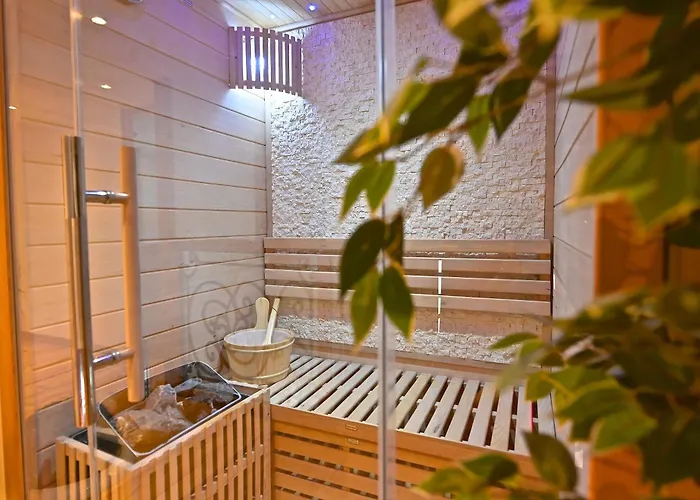 Duplex 6 Clim Wifi Sauna