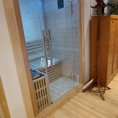 Apartament Duplex 6 Clim Wifi Sauna Cannes